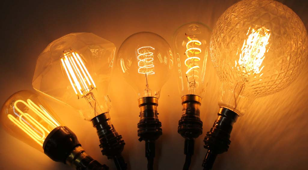 FSV-bulbs